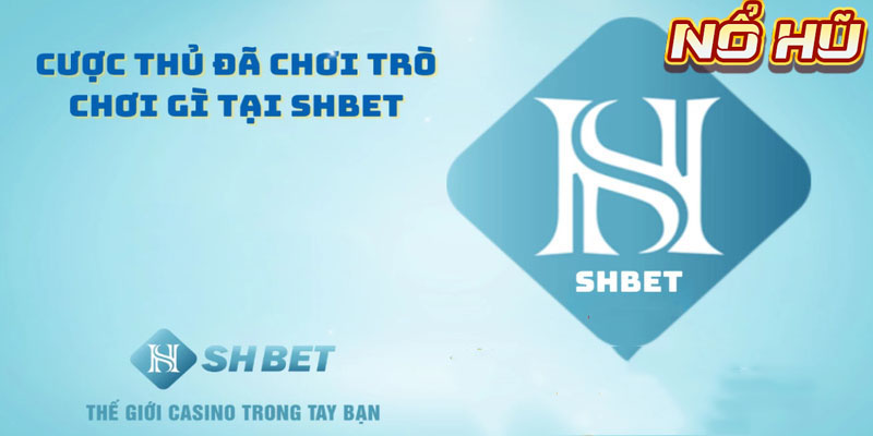 Là nhà cái có kho trò chơi đa dạng bậc nhất